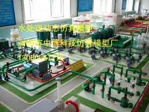 教学模型 浏阳市中博科技仿真模型厂 供应中心